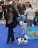  - Poupi et Pinji ont été confirmés lors du Paris Dog Show