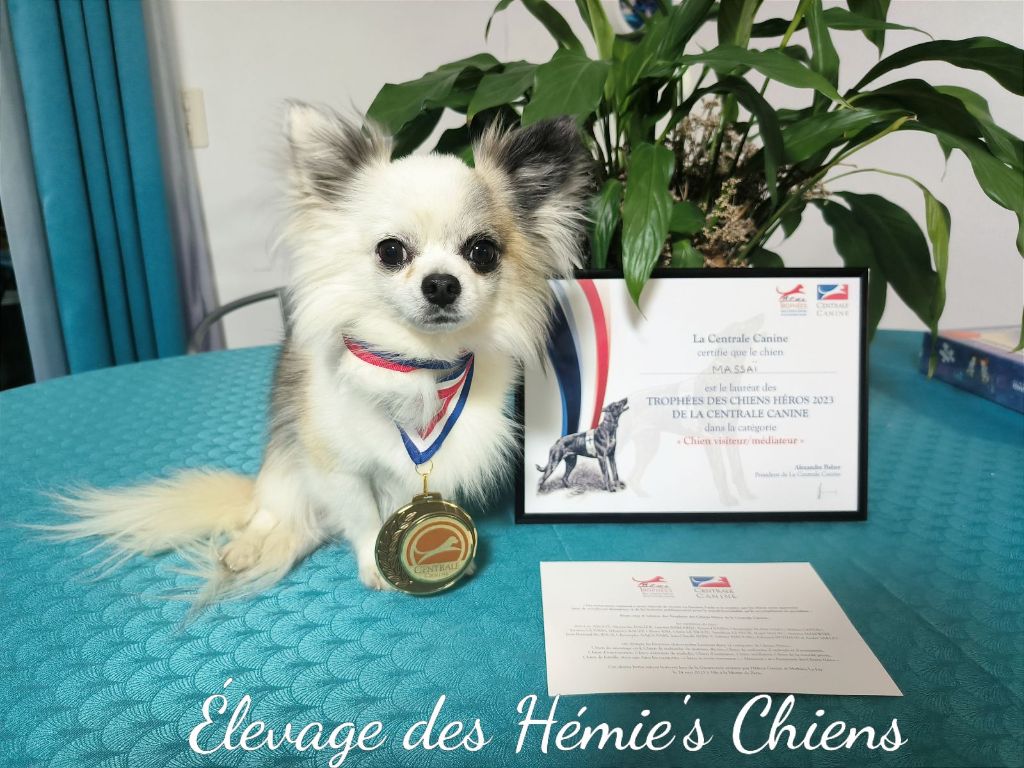 Trophée chien héros 2023 titre national 